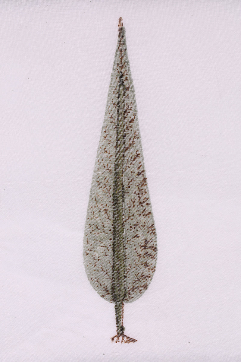 Pack 12 Servilletas Algodón BP Pino