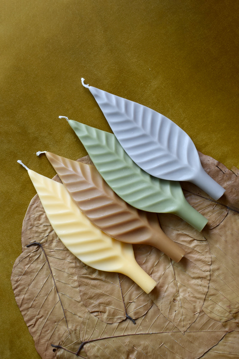 Vela Leaf III