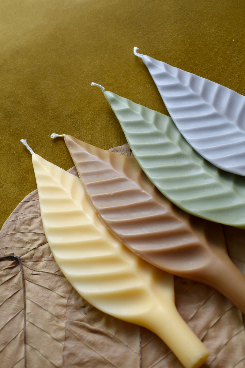Vela Leaf III