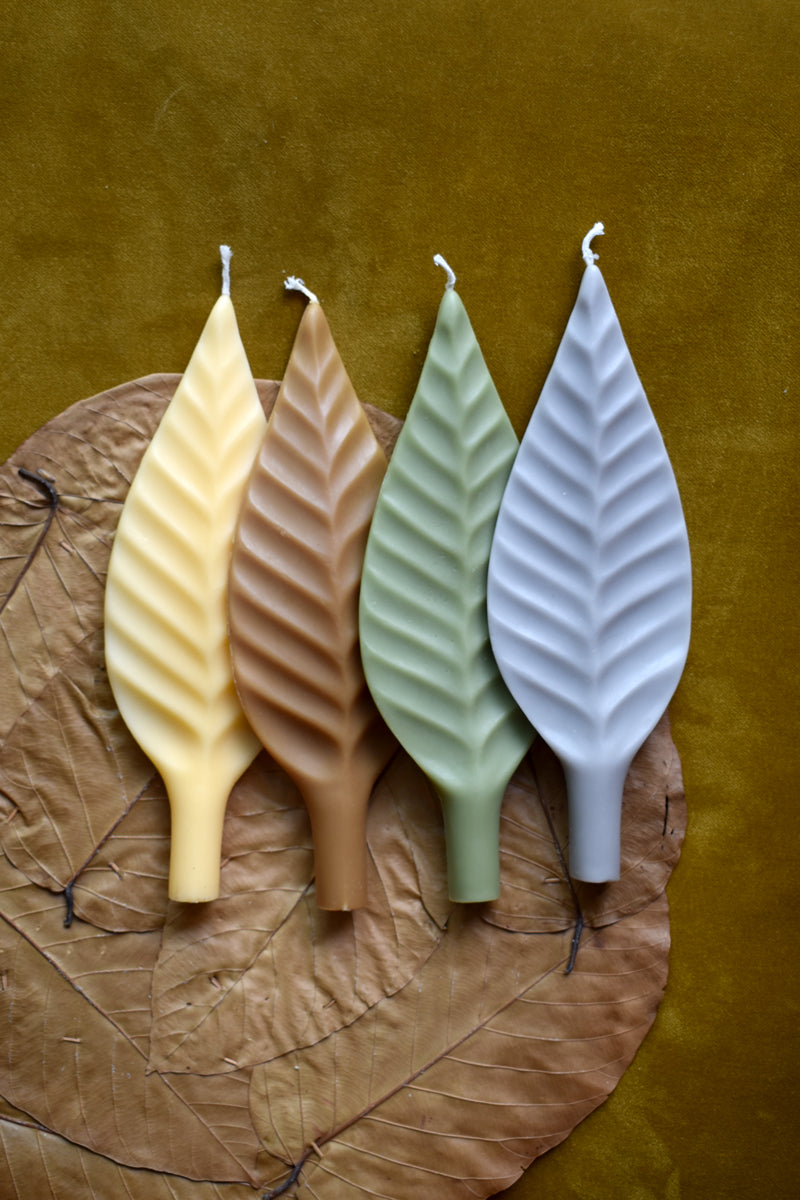 Vela Leaf III