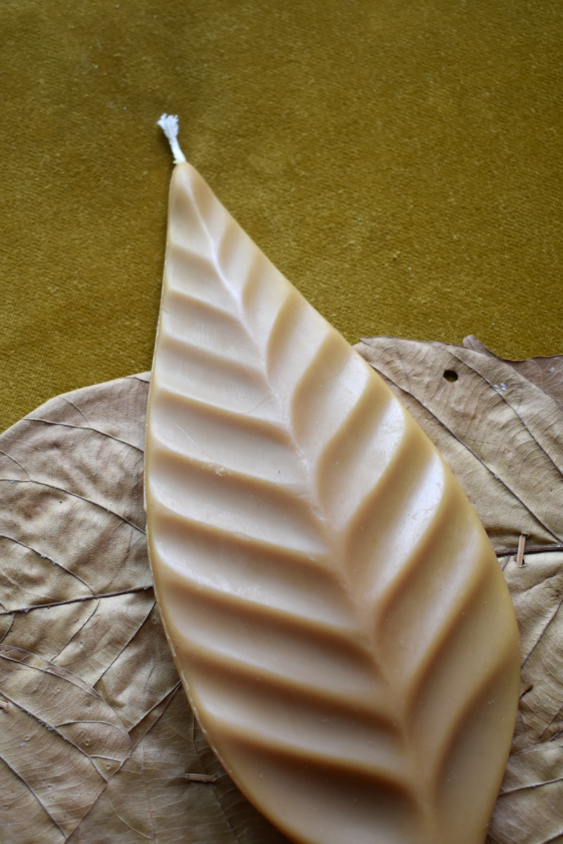 Vela Leaf III