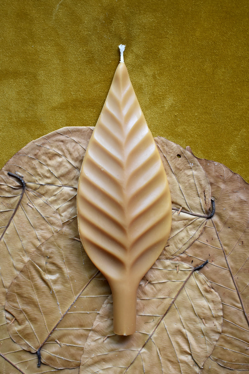 Vela Leaf III