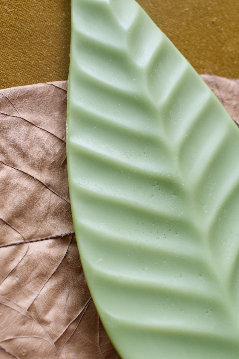 Vela Leaf IV