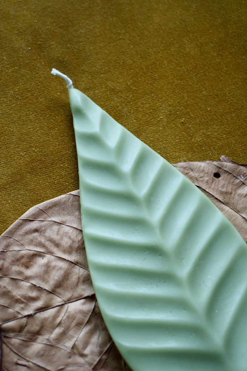 Vela Leaf IV