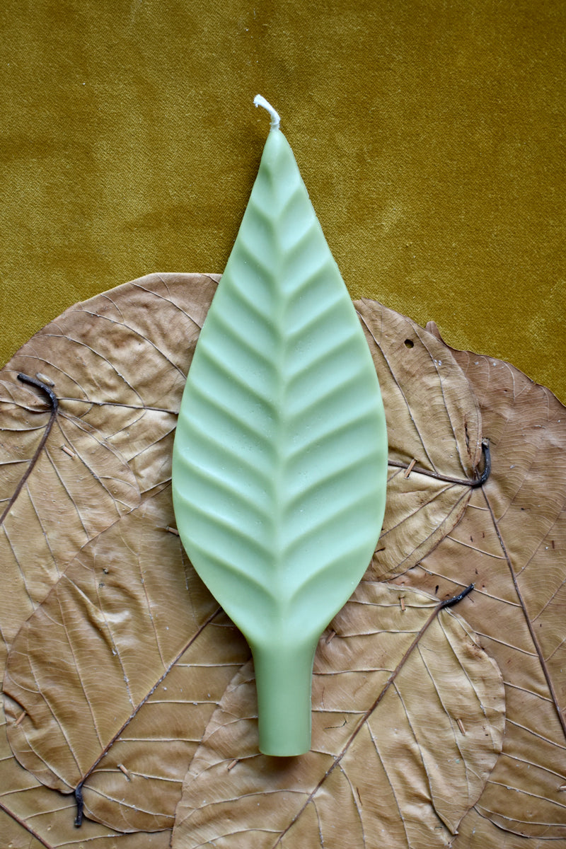 Vela Leaf IV