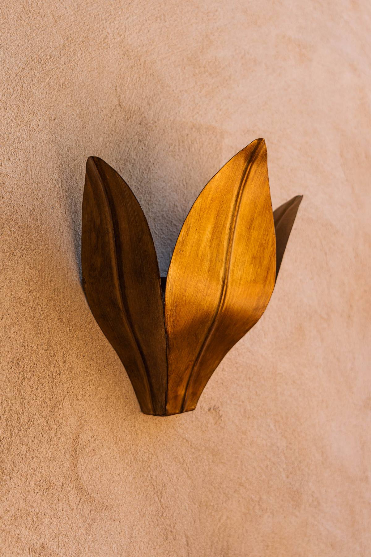 Aplique Ashoka