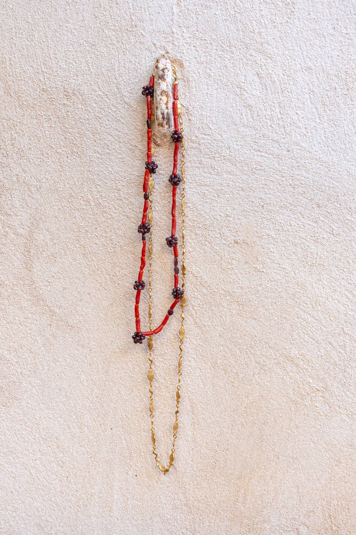 Collar Ratten