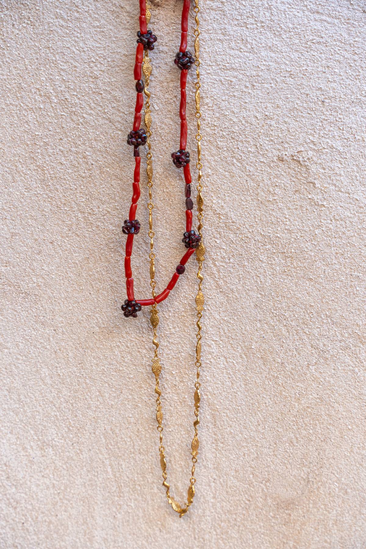 Collar Ratten