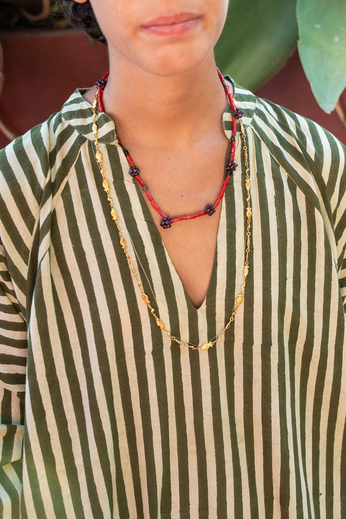 Collar Ratten