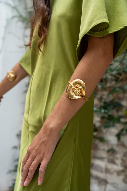 Brazalete Jadwal