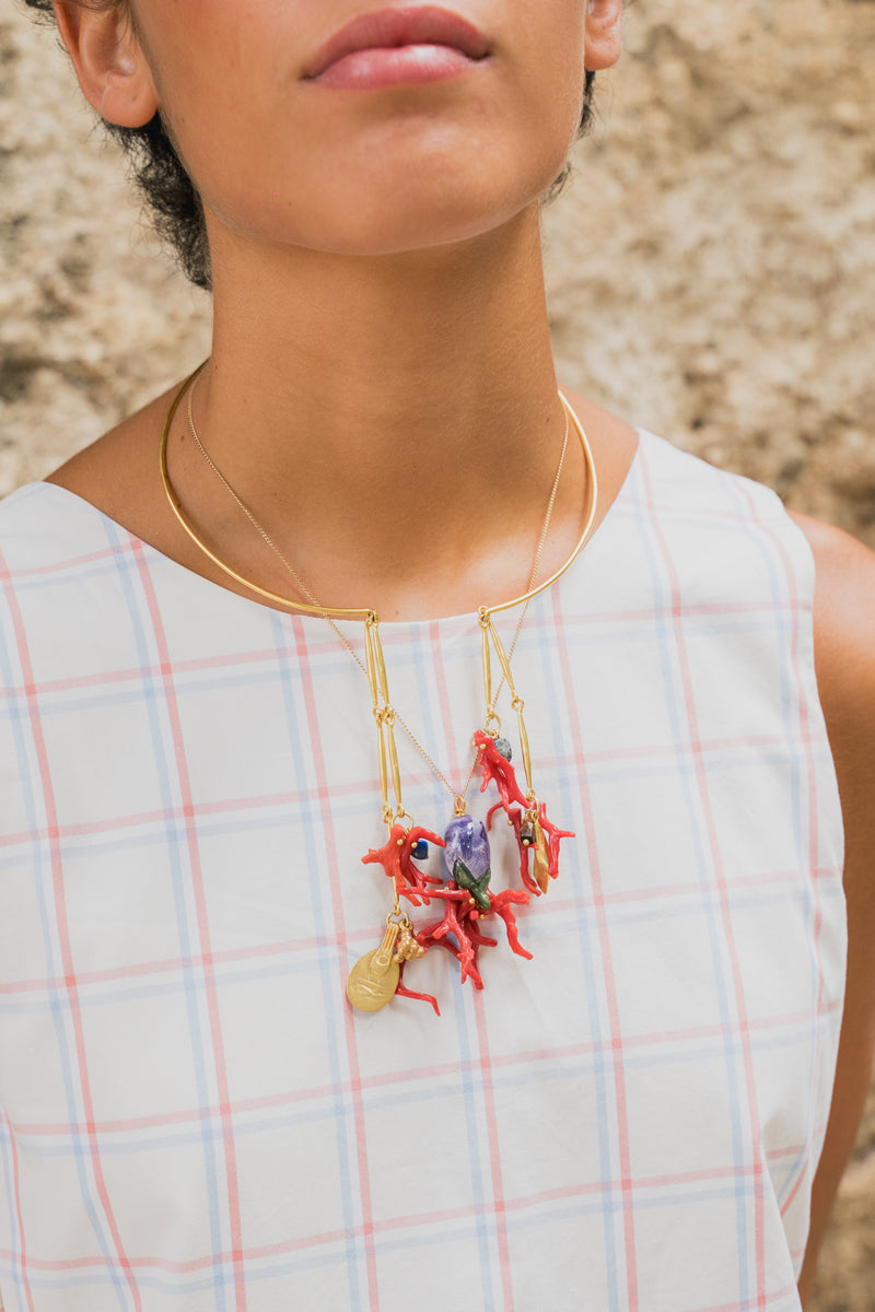 Collar Eider