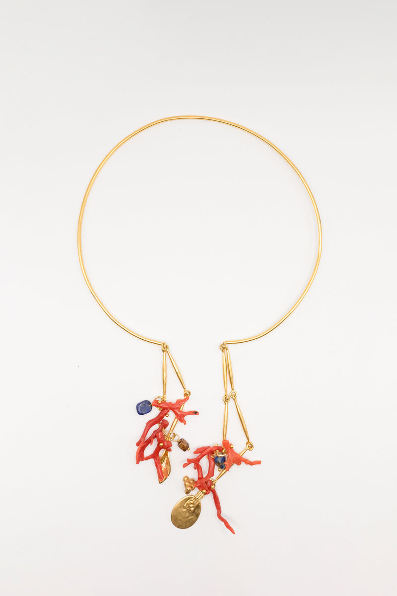 Collar Eider