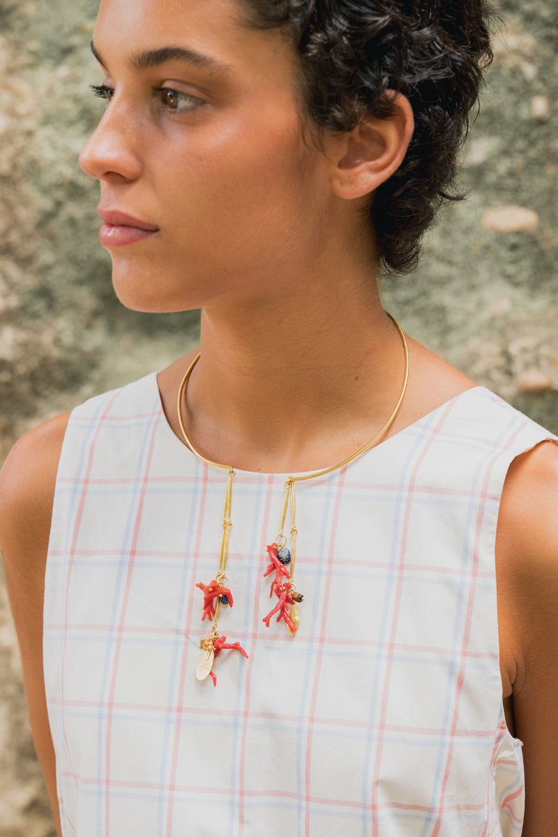 Collar Eider
