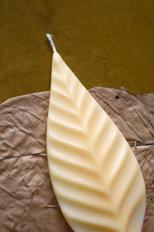 Vela Leaf I