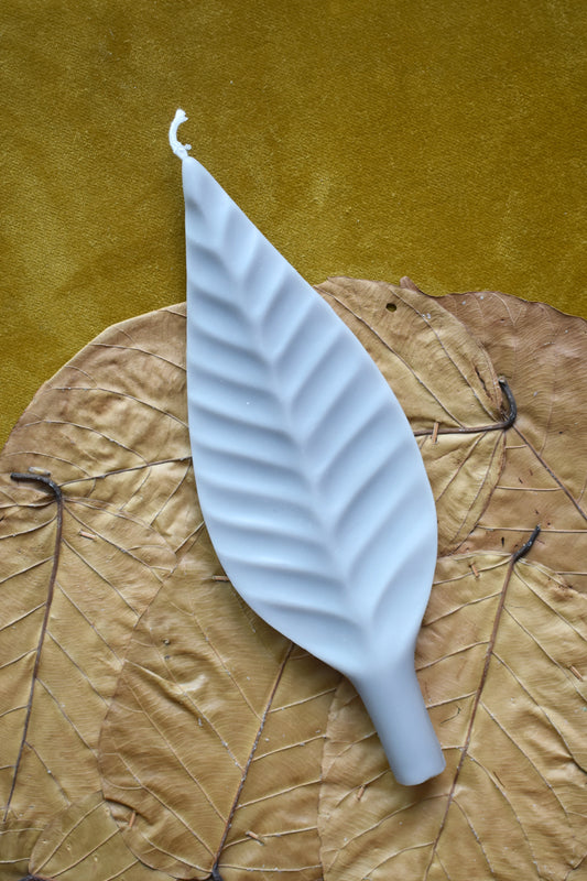 Vela Leaf II